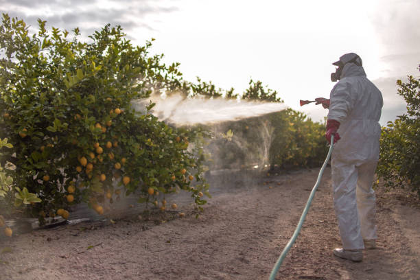 Professional Pest Control in Jacksonwald, PA